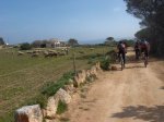 MTB-2008-02-01-Formentera-25.jpg