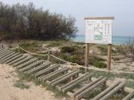 MTB-2008-02-01-Formentera-34.jpg