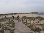 MTB-2008-02-01-Formentera-48.jpg