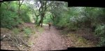 pano2.jpg