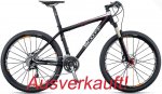 scale ltd arione.jpg