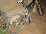 pbpic1803031.jpg