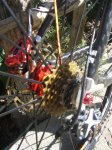 project foro 046.jpg