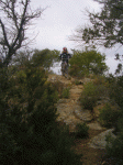 josep animaciÃ³ bucle pi tort.gif