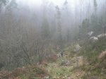 DSCN2412.JPG