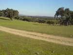 DSC014180001.JPG