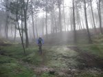DSCN0522.jpg