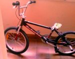 BMX entera.jpg