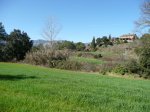 masia W.JPG
