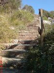 DSC00499.JPG