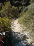 DSC00501.JPG