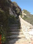 DSC00505.JPG