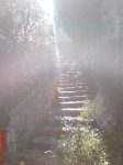 DSC00507.JPG