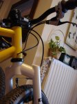 DSC00825.JPG