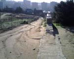 IMG00153.jpg