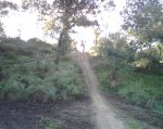 IMG00155.jpg