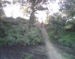 IMG00156.jpg
