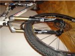 mx comp 4.jpg