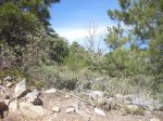DSCN3958.jpg