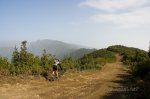 _MG_5227.jpg