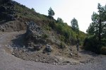 _MG_5232.jpg