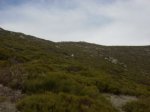 DSCN3965.jpg