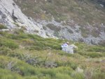 DSCN3970.jpg