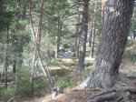 DSCN3971.jpg