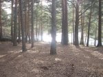 DSCN3974.jpg