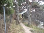 DSCN3978.jpg