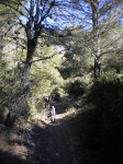 sendero2.jpg