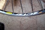 mavic (2).jpg