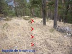 Foto23.JPG