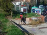 DSC05106.JPG