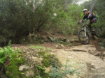 Ernest animaciÃ³ tranko2.gif