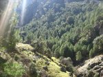 pinarladera.JPG