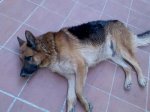 Imagen087.jpg