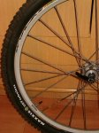SX 006.jpg