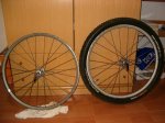 SX 019.jpg