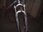 Rotwild 003.jpg