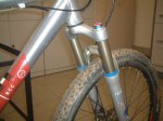 Rotwild 012.jpg