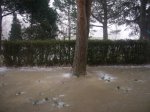 Foto3.JPG