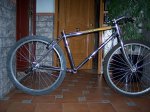 sunn notion 1 001.jpg