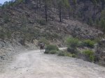 Imagen 012.jpg