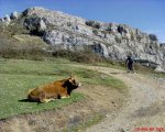DSC00292.JPG