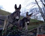 DSC00302.JPG