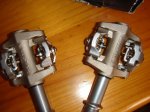 DSC01197w.JPG