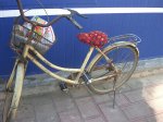biciasiento.jpg