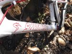 DSC01760.JPG