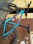 IMAG0055.jpg